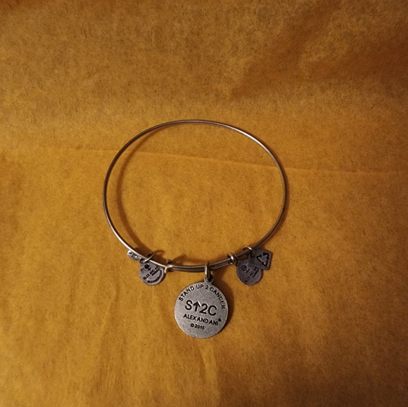 Alex and Ani Stand Up To Cancer Charm Bangle Bracelet - Picture 4 of 4